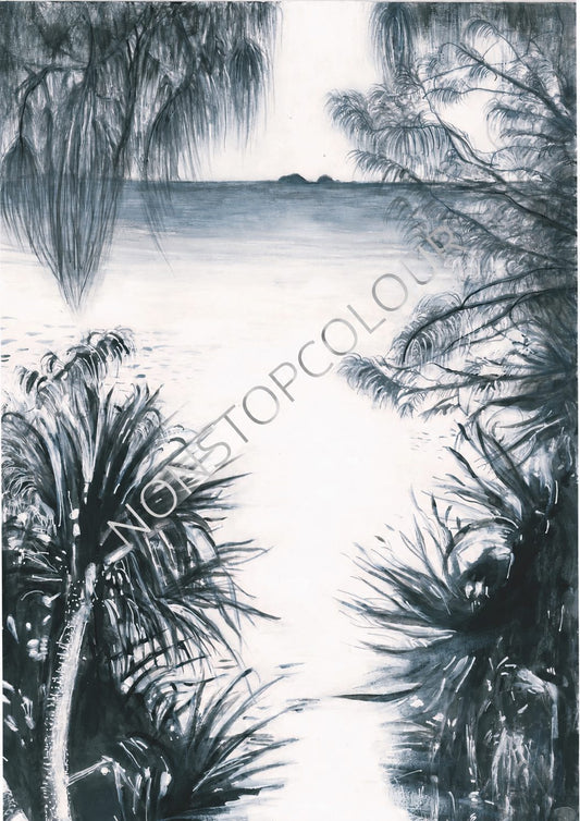 Wategos - Black & White